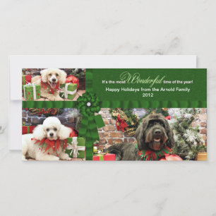 Cartes Pour Fêtes Annuelles Noël - Golden Doodle Poodle Cockapoo - Arnold
