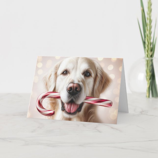 Cartes Pour Fêtes Annuelles Noël Golden Retriever avec un Sucre de canne (Devant)