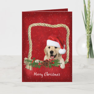 Cartes Pour Fêtes Annuelles Noel Golden Retriever dans cadre de corde
