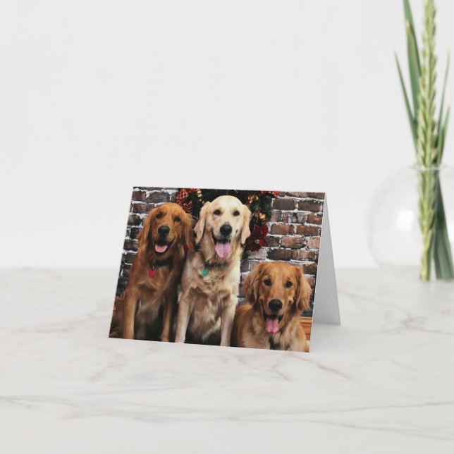 Cartes Pour Fêtes Annuelles Noël - golden retriever - emballeur Bella Darby (Devant)