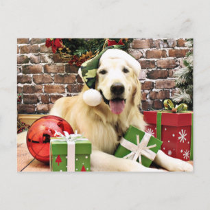 Cartes Pour Fêtes Annuelles Noël - Golden Retriever - Hudson
