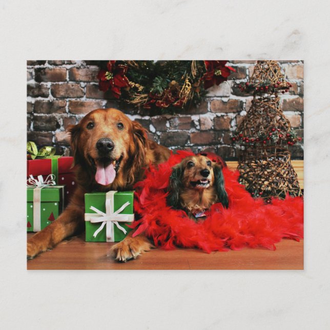 Cartes Pour Fêtes Annuelles Noël - Golden Retriever Max - Doxie - Chloe (Devant)