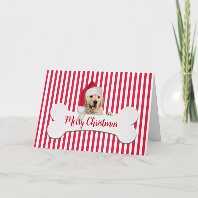 Cartes Pour Fêtes Annuelles Noël Golden Retriever sur l'os (Devant)