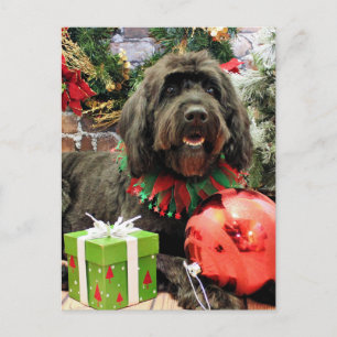 Cartes Pour Fêtes Annuelles Noël - GoldenDoodle - Néerlandais