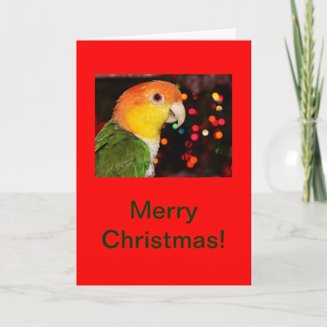Cartes Pour Fêtes Annuelles Noël gonflé par blanc de perroquet de caïque (Devant)