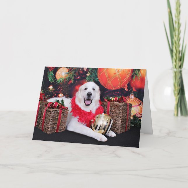 Cartes Pour Fêtes Annuelles Noël - Grandes Pyrénées - Sophie (Devant)
