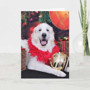 Cartes Pour Fêtes Annuelles Noël - Grands Pyrénées - Sophie