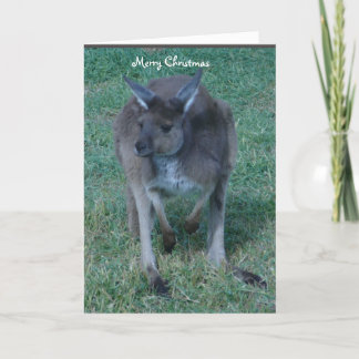 Cartes Pour Fêtes Annuelles Noël gris de kangourou