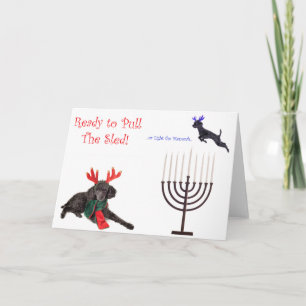 Cartes Pour Fêtes Annuelles Noël Hanoukka Poodle Dog w Menorah
