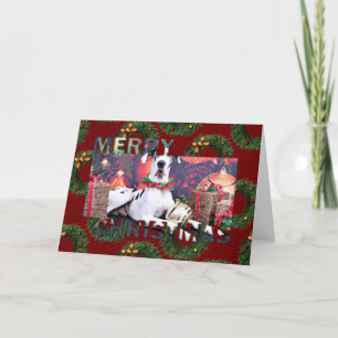 Cartes Pour Fêtes Annuelles Noël - harlequin great dane - baron