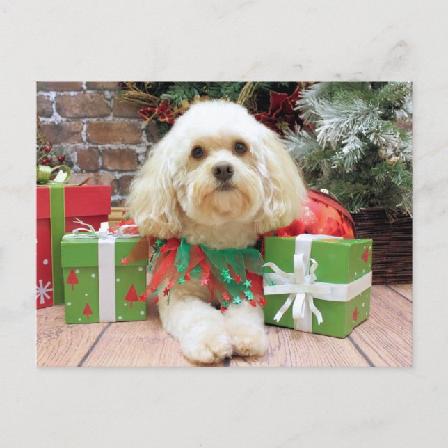Cartes Pour Fêtes Annuelles Noël - Havanais - Mason (Devant)