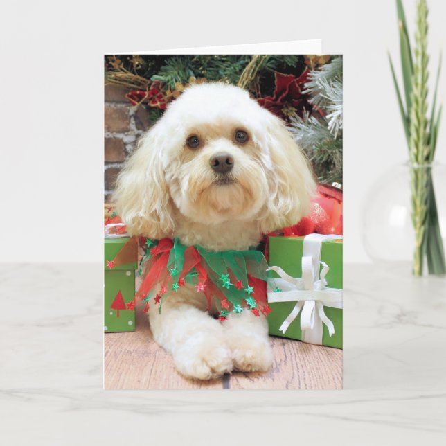 Cartes Pour Fêtes Annuelles Noël - Havanese - maçon (Devant)