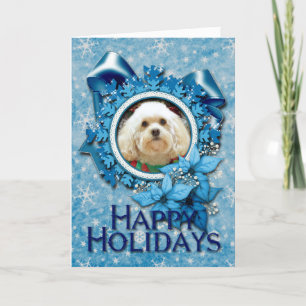 Cartes Pour Fêtes Annuelles Noël - Havanese - maçon