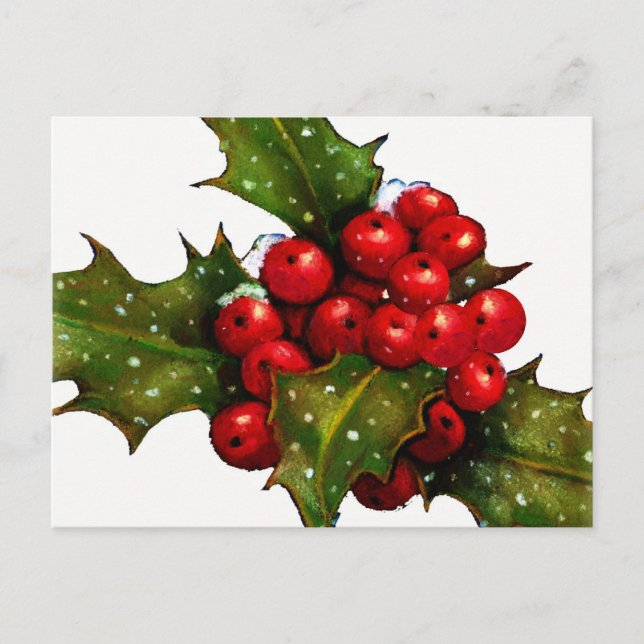 Cartes Pour Fêtes Annuelles Noël Holly avec baies et neige : Art (Devant)