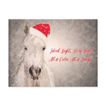 Noël Horse PostCard