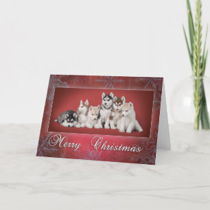 Cartes Pour Fêtes Annuelles Noël Husky
