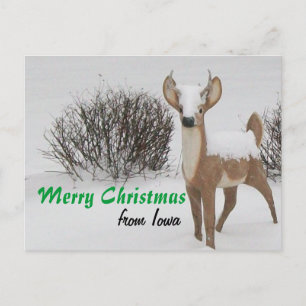 Cartes Pour Fêtes Annuelles Noël Iowa