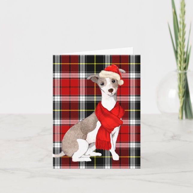 Cartes Pour Fêtes Annuelles Noël italien Greyhound et Holiday Plaid (Devant)