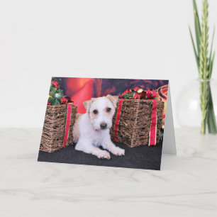 Cartes Pour Fêtes Annuelles Noël - Jack Russell - Wiley