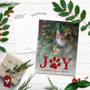 Cartes Pour Fêtes Annuelles Noël Joie   Photo de vacances pour animaux