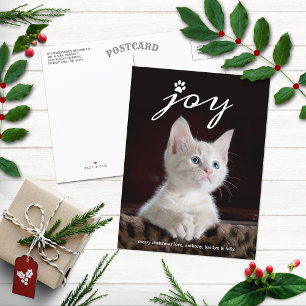 Cartes Pour Fêtes Annuelles Noël Joie   Photo de vacances pour animaux