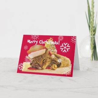 Cartes Pour Fêtes Annuelles Noël Kitty