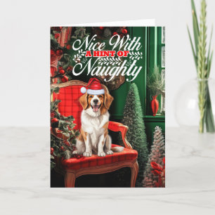 Cartes Pour Fêtes Annuelles Noël Kooikerhondje Chien Naughty ou Nice
