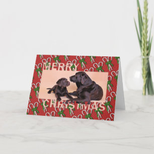 Cartes Pour Fêtes Annuelles Noël - Laboratoires de chocolat