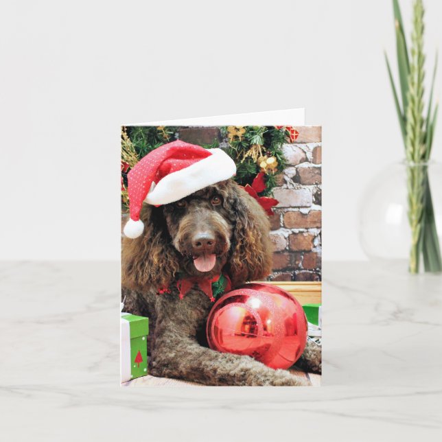Cartes Pour Fêtes Annuelles Noël - LabraDoodle - Harley (Devant)