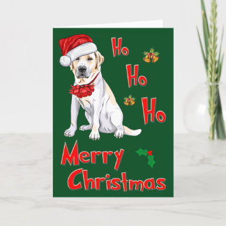 Cartes Pour Fêtes Annuelles Noël Labrador