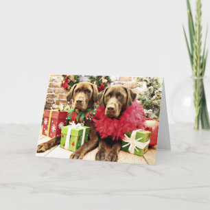 Cartes Pour Fêtes Annuelles Noël - Labrador au chocolat - Hershey & Zena