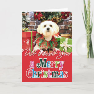 Cartes Pour Fêtes Annuelles Noël - Lhasa Apso - Jack