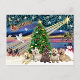 Cartes Pour Fêtes Annuelles Noël Magie Cairn Terriers (Cinq)