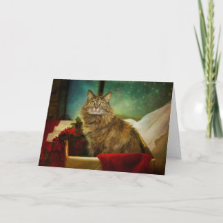 Cartes Pour Fêtes Annuelles Noël magique