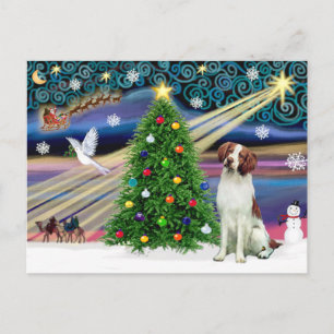 Cartes Pour Fêtes Annuelles Noël Magique Brittany Spaniel