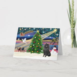 Cartes Pour Fêtes Annuelles Noël Magique Schipperke