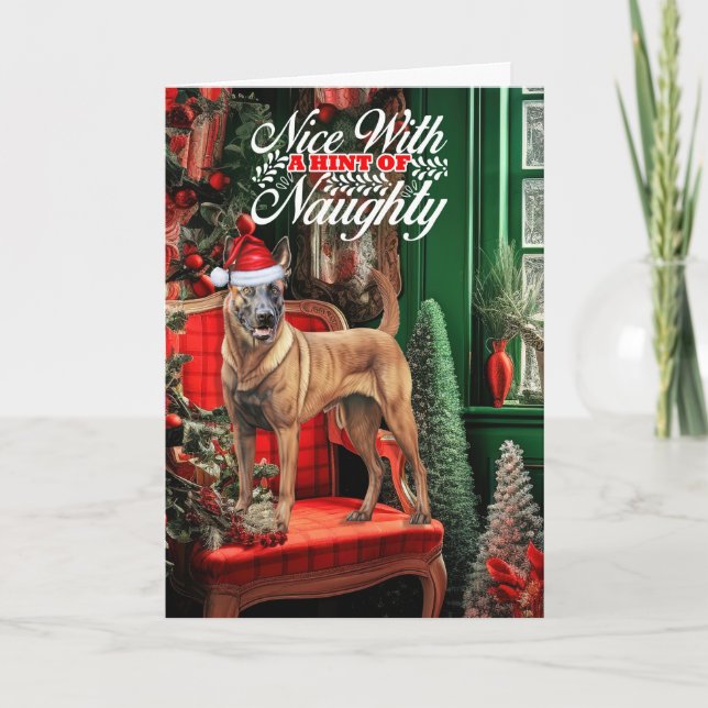 Cartes Pour Fêtes Annuelles Noël Malinois Chien Belge Naughty ou Nice (Devant)