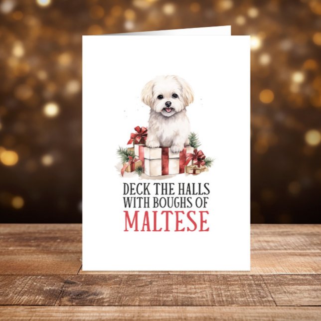 Cartes Pour Fêtes Annuelles Noël maltais amusant Joyeux Fêtes (Créateur téléchargé)