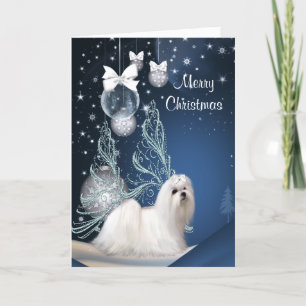 Cartes Pour Fêtes Annuelles Noël maltais de chiot