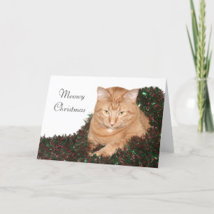 Cartes Pour Fêtes Annuelles Noël Meowy