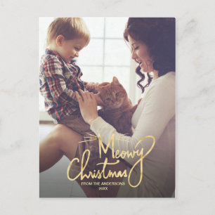 Cartes Pour Fêtes Annuelles Noël Meowy   Funny Chat Photo de Noël