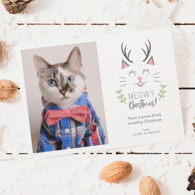 Cartes Pour Fêtes Annuelles Noël Meowy | Photo de chat (Créateur téléchargé)