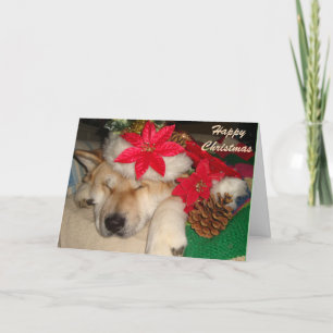Cartes Pour Fêtes Annuelles Noël mignon de décoration de cône de casquette de