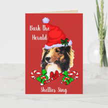 Noël mignon de Sheltie Père Noël