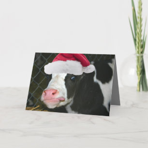 Cartes Pour Fêtes Annuelles Noël Moory de vache
