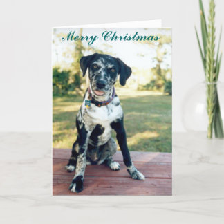Cartes Pour Fêtes Annuelles Noël Nellie
