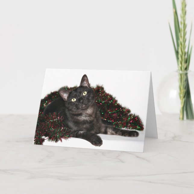 Cartes Pour Fêtes Annuelles Noël noir de chat de fumée (Devant)