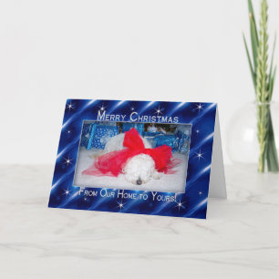 Cartes Pour Fêtes Annuelles Noël - Notre maison à votre triste chiot