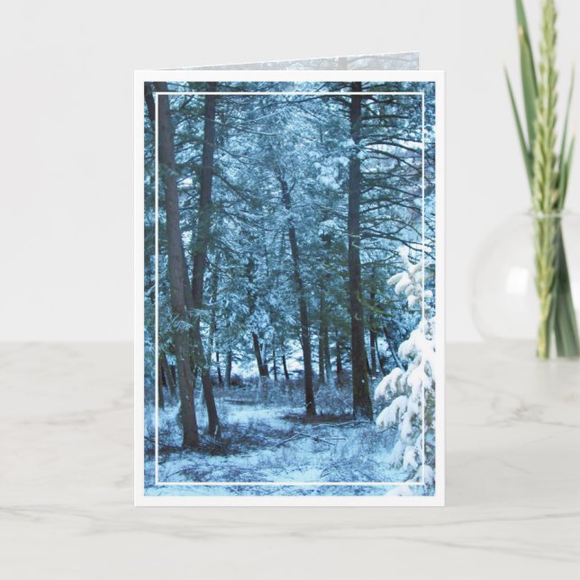 Cartes Pour Fêtes Annuelles Noël, Nouvel An, Fête - Vide (Devant)