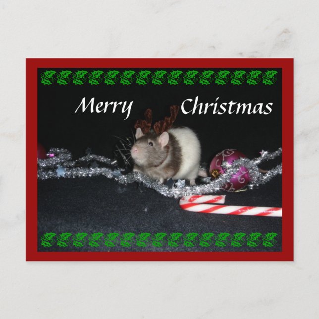 Cartes Pour Fêtes Annuelles Noël orageux (Devant)